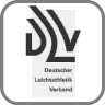 DLV Logo